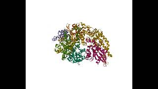 The Structural Basis for Cdc42Induced Dimerization of IQGAPs [upl. by Marko]