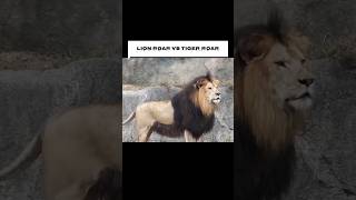 Tiger Roar vs Lion Roar  Which is LOUDERPart One [upl. by Tijnar]