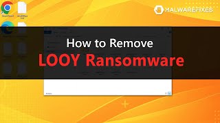 LOOY Ransomware Removal Guide [upl. by Luoar]