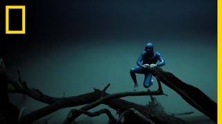 Experience the Underwater World Through the Eyes of a Free Diver  Short Film Showcase [upl. by Ydnolem]