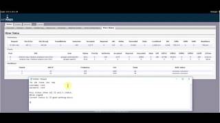 s3 antminer Asic Status Miner configuration [upl. by Akerboom]