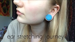 MY EAR STRETCHING JOURNEY  Abi Gaertner [upl. by Ojeibbob932]