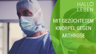 Knorpeltransplantation – neues Knie aus dem Labor [upl. by Amethyst]