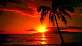 Musicas Havaianas Hawaii Aloha Hawaiian Music [upl. by Aikrahs]