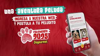 Postulaciones abiertas para el CALENDARIO DOGOURMET 2025 [upl. by Jaye261]