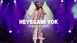 Gazapizm  Heyecanı Yok Slowed  Reverb [upl. by Genni]