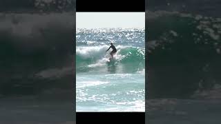 Free surfing at Maroubra Beach shorts surfing surf surfingaustralia beach surfsession [upl. by Odirfliw]