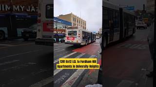 MTA NYC BUS 1281 Bx12 LCL  Fordham amp Valentine nycbus youtubeshorts thebronx music commute [upl. by Constant993]