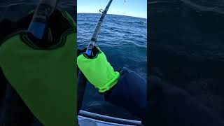 November Pollock Fishing fishing cod deepseafishing [upl. by Vetter]