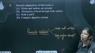 Parasitic adaptations of flatworms is [upl. by Keen]