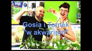 Gosia i Tomek quotw akwariumquot Część 10 Wybór oświetlenia do akwarium [upl. by Warde]