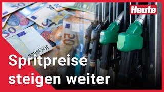 Spritpreise steigen weiter an [upl. by Anuat]