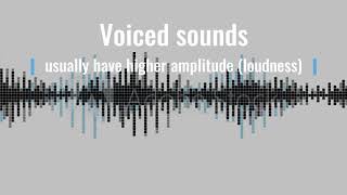 Voiced vs voiceless sounds [upl. by Innoj]