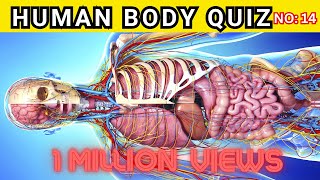 Human Body Quiz  Human Body Questions And Answers Trivia No 14 [upl. by Nudd678]