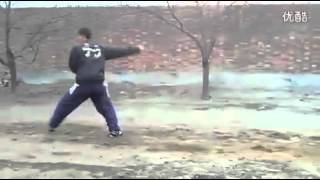 Bajiquan xiao jia 4th routine  slow motion 八极小架四路 慢速 [upl. by Lizette]