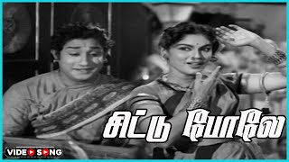 Chittu Pole Mullai Mottuppole Video Song in Tenali Raman Movie  Sivaji Ganesan  Tamil Video Song [upl. by Iggy371]