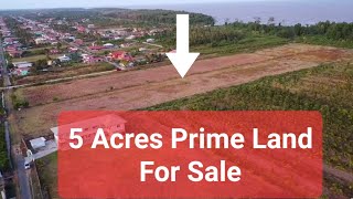 5 Acres of Prime Land for Sale in Corentyne Berbice  Guyana 🇬🇾 [upl. by Miehar]