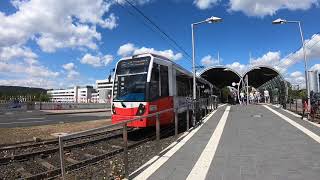 Exploring Bonn Bad Godesberg amp Königswinter North Rhine Westphalia Germany  August 2018 [upl. by Namref]