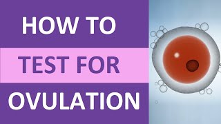 How to Take an Ovulation Test Clearblue for Pregnancy  Ovulation Symptoms amp Test Kit [upl. by Ertnom236]