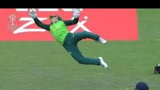 Top 10 Best Wicket Keepers Catches in Cricket History [upl. by Enneyehs]