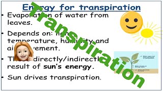 Factors affecting transpiration AQA AS level Biology [upl. by Aicenav]