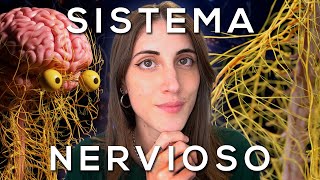 El SISTEMA NERVIOSO explicado FÁCIL [upl. by Marjorie281]