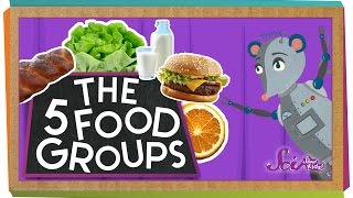 The 5 Fabulous Food Groups [upl. by Cathe842]