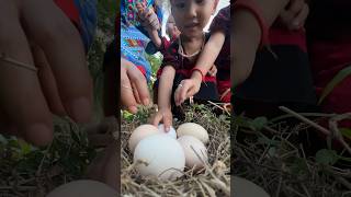 Single mom with boil chicken eggs skills camping singlemom outdoors bushcraft skills [upl. by Jeannine]