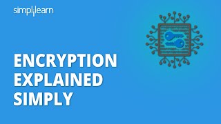 Encryption Explained Simply  What Is Encryption  Cryptography And Network Security  Simplilearn [upl. by Sirroned]