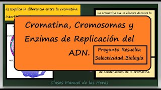 Cromosomas Cromatina y Enzimas de la Replicación Respuesta a Pregunta Examen EBAU Biología [upl. by Carmina]