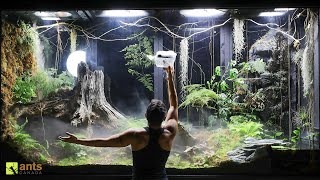 I Unleashed a Swarm of Huntsman Spiders Into My Giant Rainforest Vivarium [upl. by Downe]