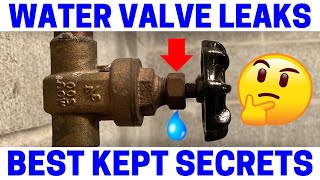 Leaky Water Valve  Easy Fix [upl. by Xilef]