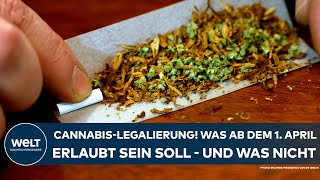 DEUTSCHLAND CannabisLegalisierung Was ab 1 April erlaubt sein soll – und was nicht [upl. by Thilda]