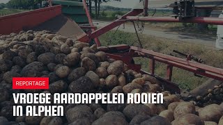 Vroege aardappelen rooien in Alphen [upl. by Osrick]