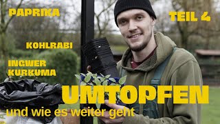 Jungpflanzenanzucht Kurs Teil 4 Umtopfen abhärten uvm [upl. by Gareri]