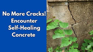 Concrete That Fixes Itself the Science Behind the Revolutionary SelfHealing Technology [upl. by Harriott]