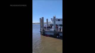 Deadly Georgia boat dock collapse 7 die after 20 plunge into ocean during Sapelo Island festival [upl. by Cyrus774]