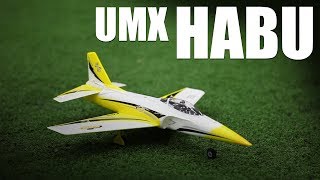 Flite Test  UMX Habu  REVIEW [upl. by Millham]