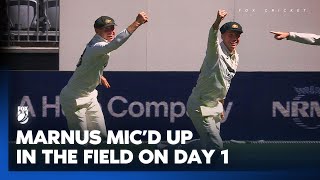 The Big Cheese on the board  Micd up Marnus cracks zingers with McSweeney 🤣  Fox Cricket [upl. by Aelc]