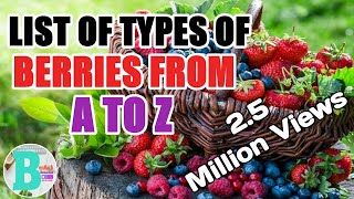 LIST OF TYPES OF BERRIES FROM A TO Z [upl. by Claudie]