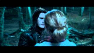 Harry Potter and the Deathly Hallows part 1  Hermione and the Snatchers in the forrest HD [upl. by Neelat]