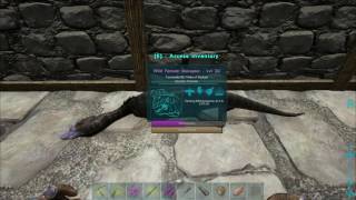 How to tame an Oviraptor ULTIMATE GUIDE  Ark Ragnarok [upl. by Mill]