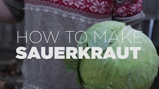 How to make REAL Sauerkraut only three easy steps [upl. by Sardella]