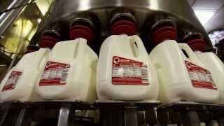 Dairy Special  Americas Heartland Episode 912 [upl. by Granniah879]