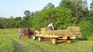 Haying with Draft Horses at Full and By Farm [upl. by Biddle]