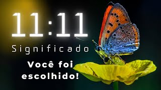 🦋1111 Horas Iguais SIGNIFICADO ESPIRITUAL  SINCRONICIDADE 🕙 [upl. by Ewart]