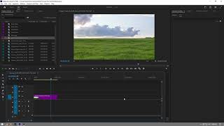 How to Fix Video Playback Lag While Editing in Premiere Pro 2024 [upl. by Myranda]