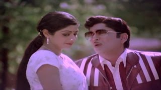 Panchami Poota Manchidhani Video Song  Sriranganeetulu Movie  ANRSridevi [upl. by Llehctim]