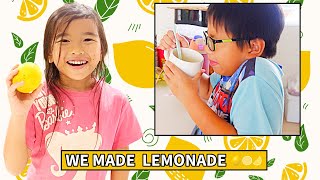 We Made Lemonade  It didnt go as Planned 😂 [upl. by Trebla]