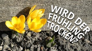 Wetter im Frühling 2019 NOAA kündigt Trockenzeit an [upl. by Zaob]